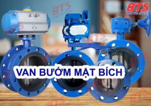 Các loại van bướm mặt bích